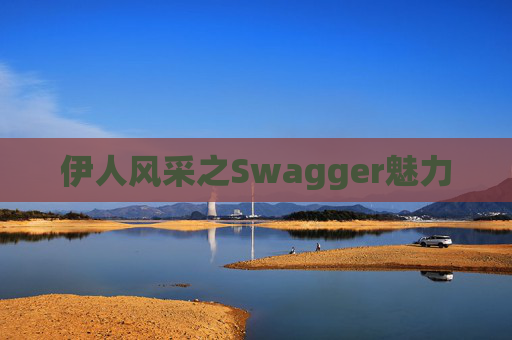 伊人风采之Swagger魅力