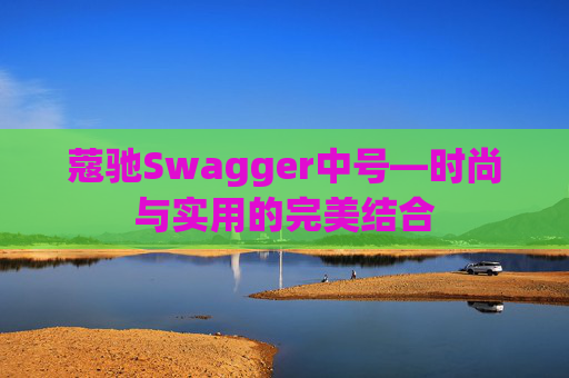 蔻驰Swagger中号—时尚与实用的完美结合