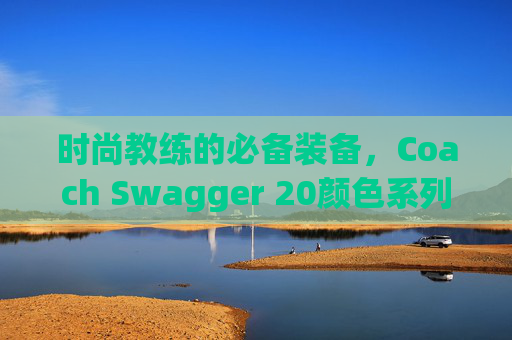 时尚教练的必备装备，Coach Swagger 20颜色系列