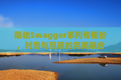蔻驰Swagger系列专柜价，时尚与品质的完美融合