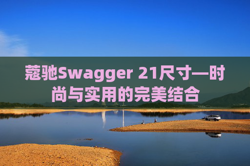 蔻驰Swagger 21尺寸—时尚与实用的完美结合