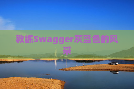 教练Swagger灰蓝色的风采