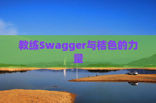 教练Swagger与桔色的力量