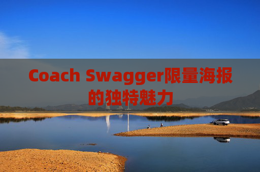 Coach Swagger限量海报的独特魅力