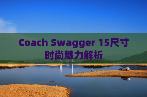 Coach Swagger 15尺寸时尚魅力解析