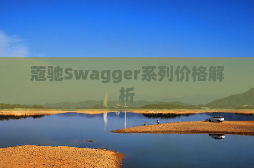蔻驰Swagger系列价格解析