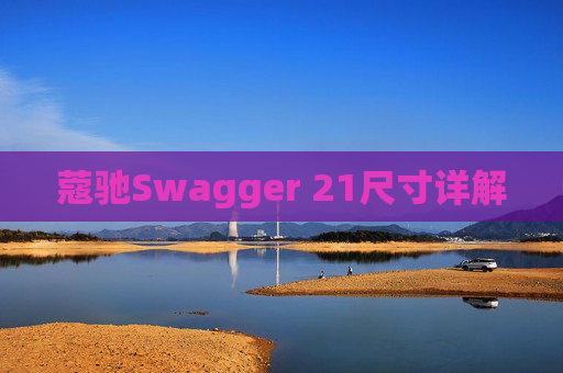 蔻驰Swagger 21尺寸详解